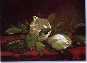 unknow artist Still life floral, all kinds of reality flowers oil painting 29 oil painting reproduction